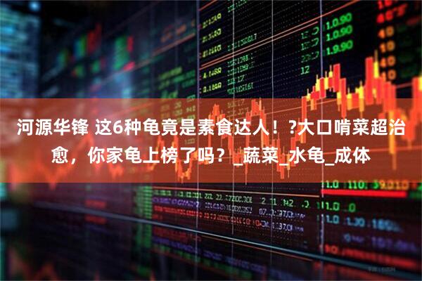 河源华锋 这6种龟竟是素食达人！?大口啃菜超治愈，你家龟上榜了吗？_蔬菜_水龟_成体