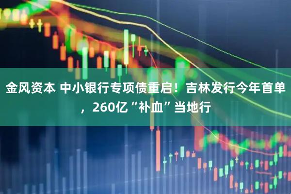 金风资本 中小银行专项债重启！吉林发行今年首单，260亿“补血”当地行