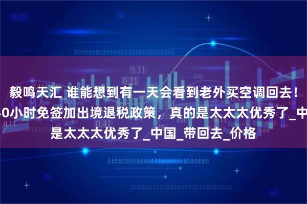 毅鸣天汇 谁能想到有一天会看到老外买空调回去！这个老外入境240小时免签加出境退税政策，真的是太太太优秀了_中国_带回去_价格