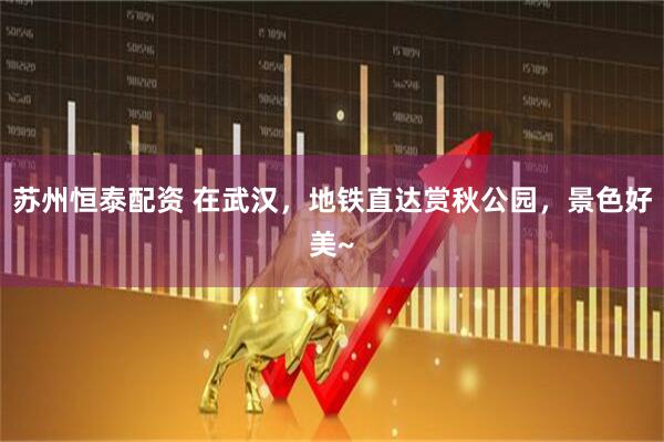 苏州恒泰配资 在武汉，地铁直达赏秋公园，景色好美~