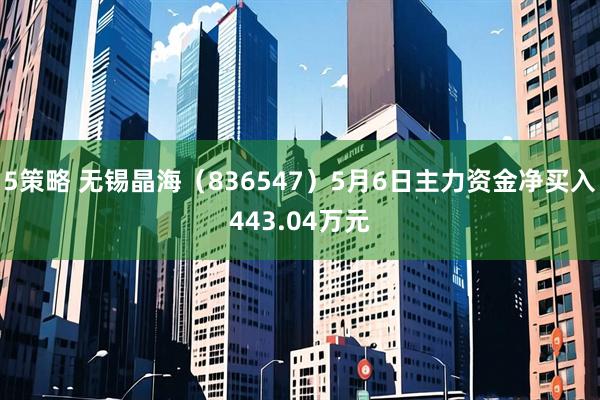 5策略 无锡晶海（836547）5月6日主力资金净买入443.04万元