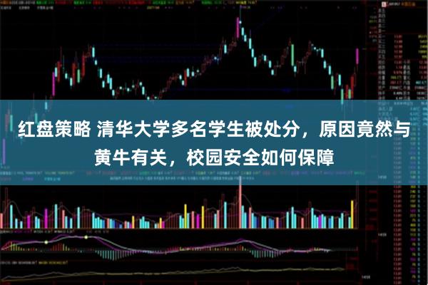 红盘策略 清华大学多名学生被处分，原因竟然与黄牛有关，校园安全如何保障