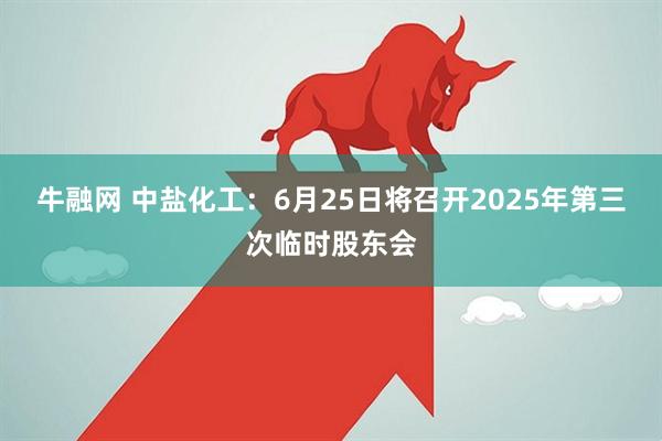 牛融网 中盐化工：6月25日将召开2025年第三次临时股东会